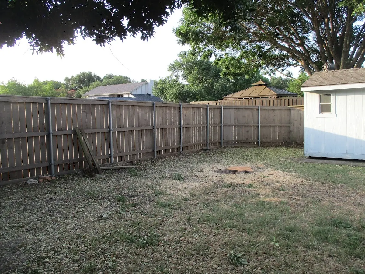 Cleared yard after professional tree removal in Walford